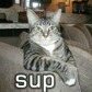 Topcat